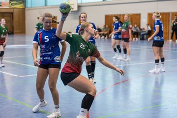 Bild 260 - F HSG Kremperheide/Muensterdorf - HSG Holstein Kiel/Kronshagen : Ergebnis: 31:26
